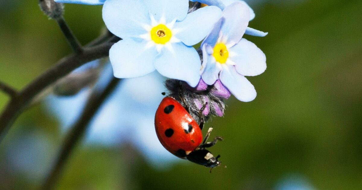 Angela Walters, principal of Fairfield Intermediate in Hamilton