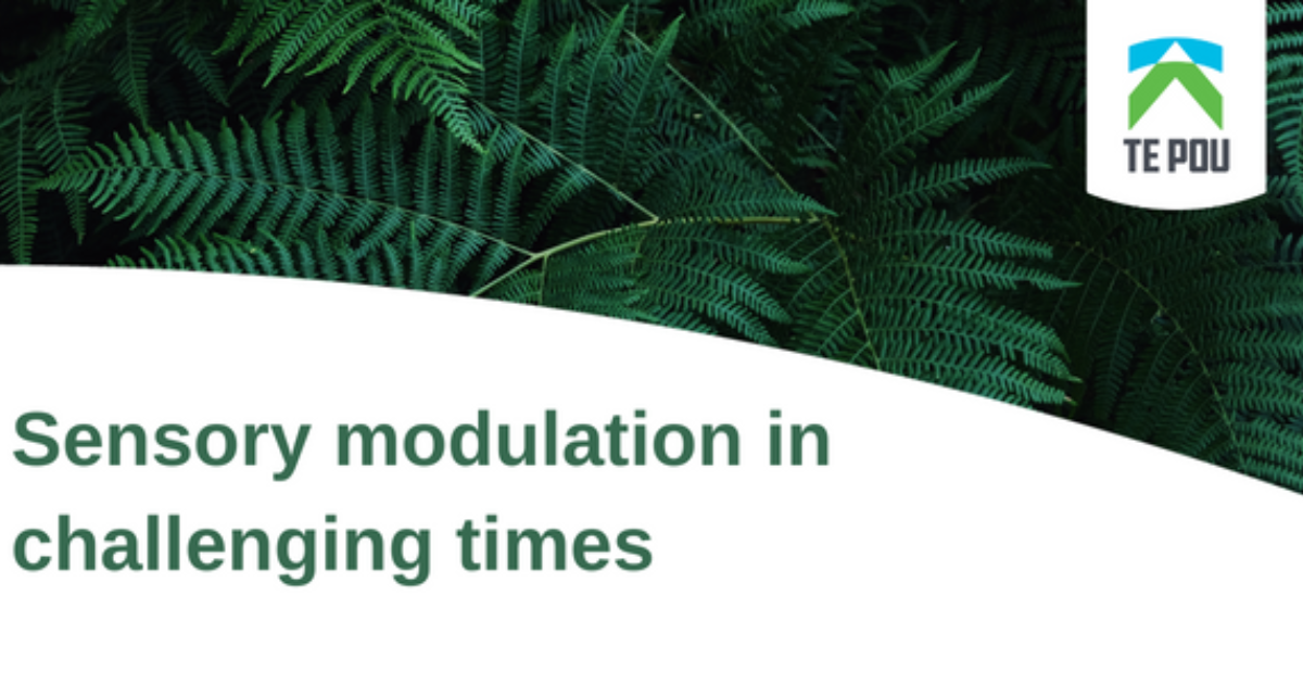 A group of people sit at tables facing the front of a club room, listening to a Youth Mental Health First Aid instructor.