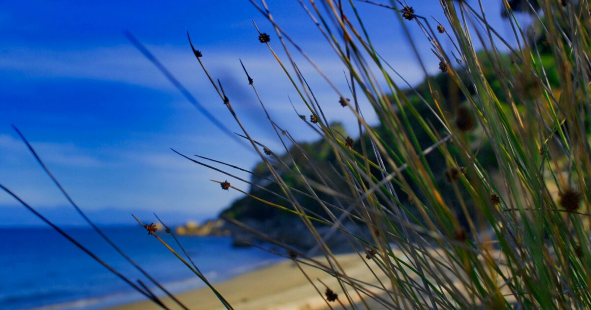 Kay Syminton stands beside a patient's bed at Hospice Waikato, talking to two colleagues.